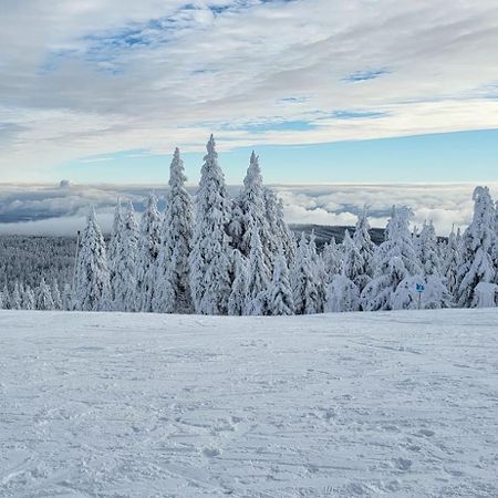 Chata Jeleni Drevenice S Vlastni Virivkou Horni Halze Exteriér fotografie
