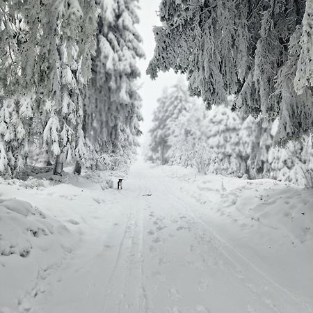 Chata Jeleni Drevenice S Vlastni Virivkou Horni Halze Exteriér fotografie