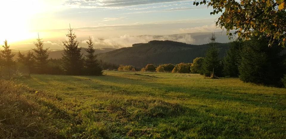 Chata Jeleni Drevenice S Vlastni Virivkou Horni Halze Exteriér fotografie