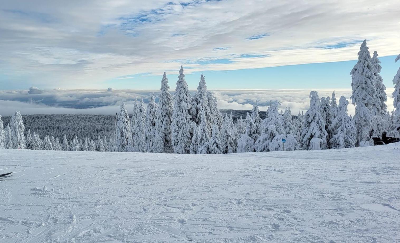 Chata Jeleni Drevenice S Vlastni Virivkou Horni Halze Exteriér fotografie
